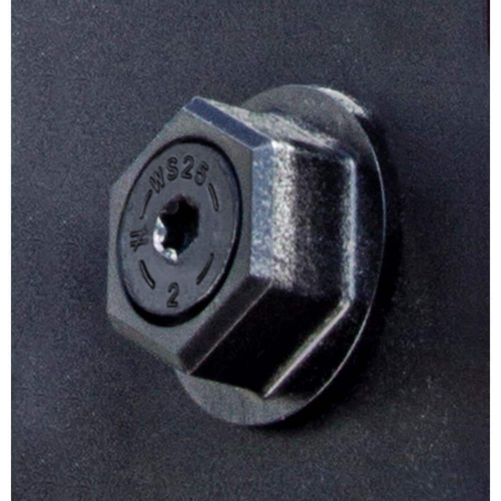 Outdoor Accents 0.250 in. x 2 in. T40 6-Lobe, Low Profile Head, Black Structural Wood Screw (50-Pack)