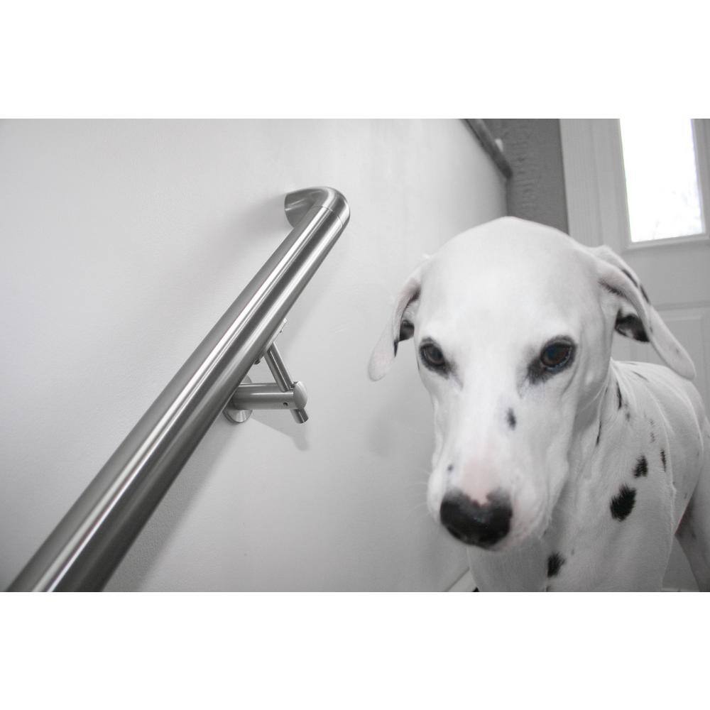 Round Bracket for Flat and Round Tube 2.5 in. Stainless Steel Handrail Wall Bracket