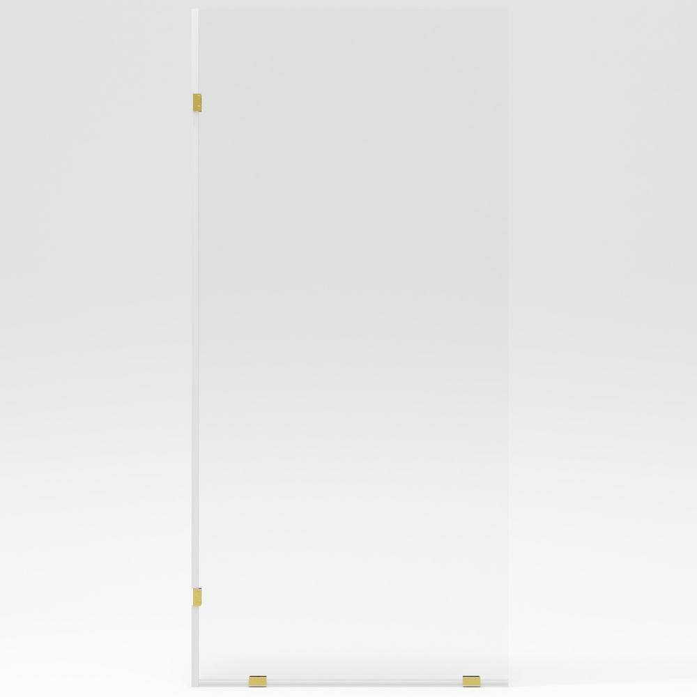 DEERVALLEY 36 in. W x 78 in. H Frameless Fixed Single Panel Shower Door in Brushed Gold with 3/8 in. (10mm) Clear Glass
