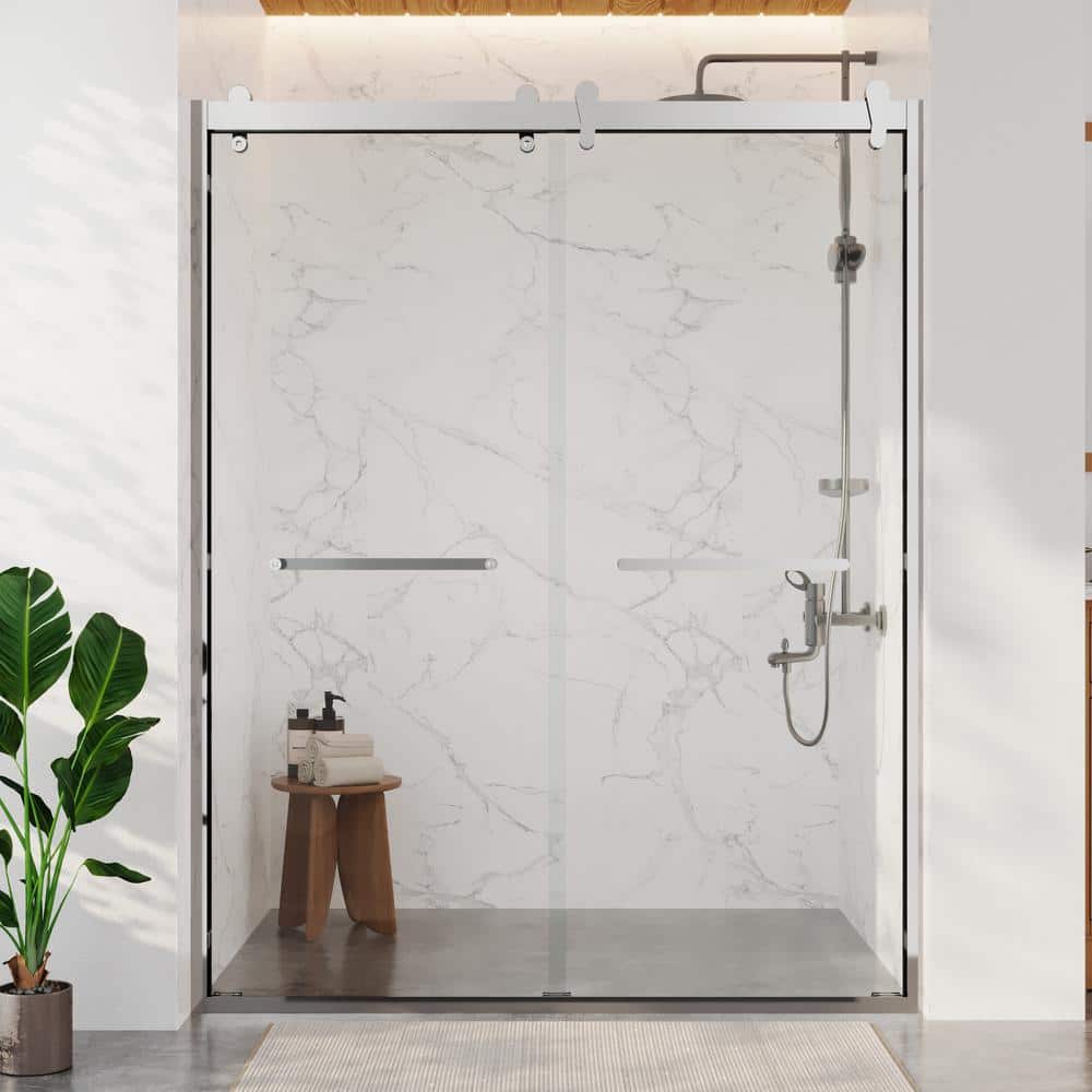 DEERVALLEY 60 in. W x 76 in. H Double Sliding Framed Shower Door in Silver with 3/8 in. (10 mm) Clear Glass