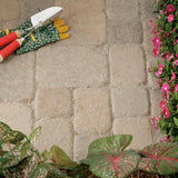 Pavestone 5.5 in. L x 5.5 in. W x 2.36 in. H Desert Blend Concrete Paver Plaza Square Tumbled (480-Pieces/100 sq. ft./Pallet)