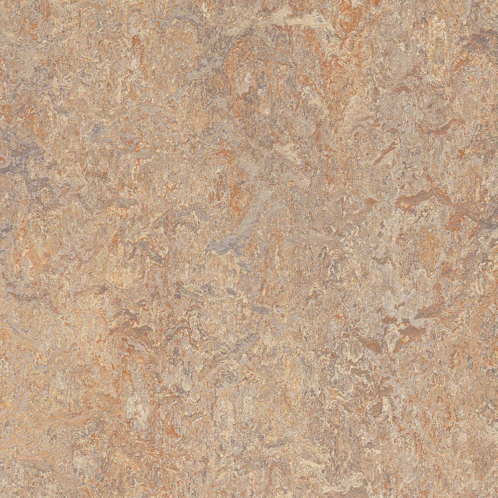 Marmoleum Cinch Loc Seal Donkey Island 9.8 mm Thick x 11.81 in. Wide X 11.81 in. Length Laminate Floor Tile (6.78 sq. ft/Case)