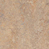 Marmoleum Cinch Loc Seal Donkey Island 9.8 mm Thick x 11.81 in. Wide X 11.81 in. Length Laminate Floor Tile (6.78 sq. ft/Case)
