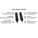Black Berkey Water Filter Cartridge (Set of 2)
