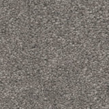 STAINMASTER Essentials Blue Diamonds II 12-ft Concrete Textured Carpet (Indoor)