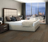 Shaw All Business 24-in x 24-in Front-page Textured Full Spread Adhesive Carpet Tile (79.99-sq ft)