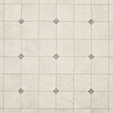 Style Selections (Sample) Sample Carriage Point Stone Waterproof Stone Look Glue Down Sheet Vinyl