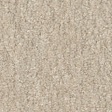STAINMASTER Essentials Blue Diamonds II 12-ft Bleached Textured Carpet Sample (Interior)