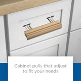 Modern Arch 1 in. to 4 in. (25 mm to 102 mm) Champagne Bronze Adjustable Drawer Pull (5-Pack) - Super Arbor