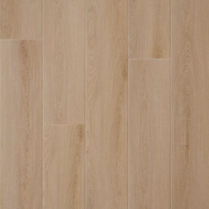 Hidden Cove Rigid Core Luxury Vinyl Plank - Cork Back