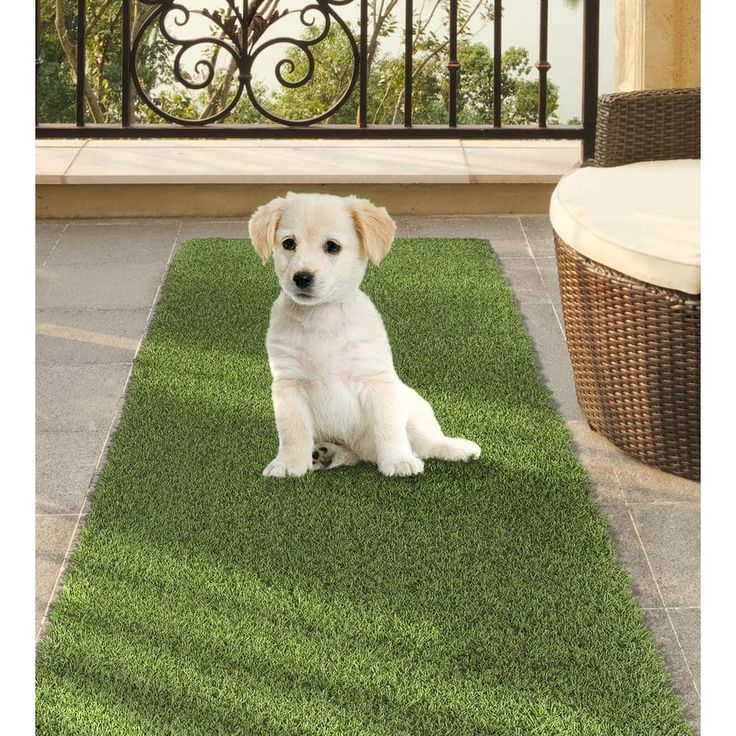 TrafficMaster 26 in. Wide x Cut to Length Artificial Grass Turf