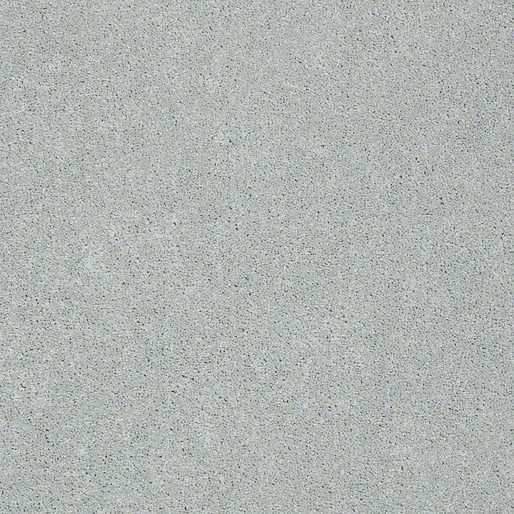 STAINMASTER PetProtect Baxter III Rex Textured Carpet (Indoor)