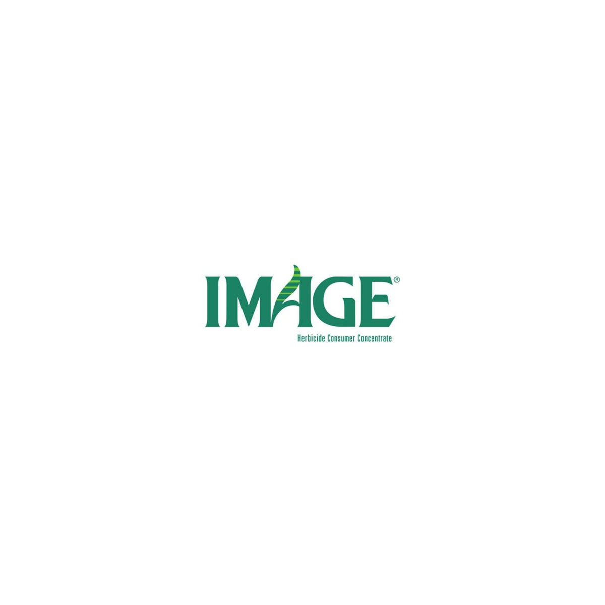 e2c43625-5e10-473a-b563-ff31f900a731_quality=60&_mzcb=_1649148331752_-583181254