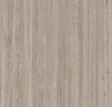 FORBO Marmoleum Click CinchLoc 12