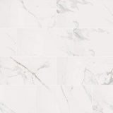 MSI 12 in. x 24 in. Carrara Polished Porcelain Floor and Wall Tile (16 sq. ft./case)