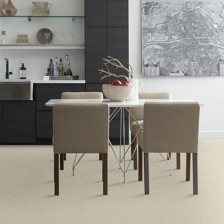 STAINMASTER PetProtect Baxter I Sadie Textured Carpet (Indoor)