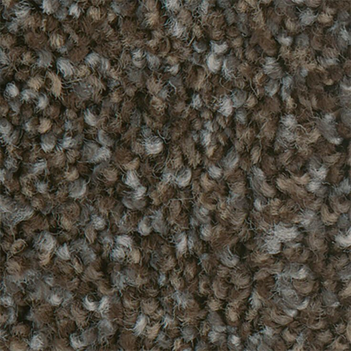 STAINMASTER PetProtect Mineral Bay II 12-ft Dockside Textured Carpet Sample (Interior)