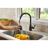 Canton Single-Handle Pull-Down Sprayer Kitchen Faucet in Tuscan Bronze - Super Arbor