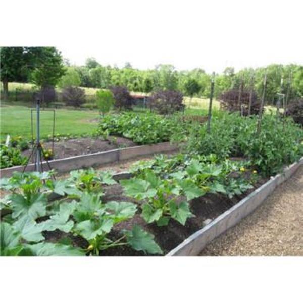 1.5 cu.ft. Organic Potting Soil - Super Arbor