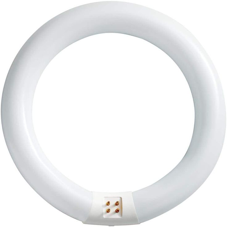 Philips 22-Watt 8 in. Linear T9 Fluorescent Tube Light Bulb Daylight Deluxe (6500K) Circline