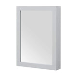 Home Decorators Collection Sturgess 24 in. W x 32 in. H Rectangular Medicine Cabinet with Mirror