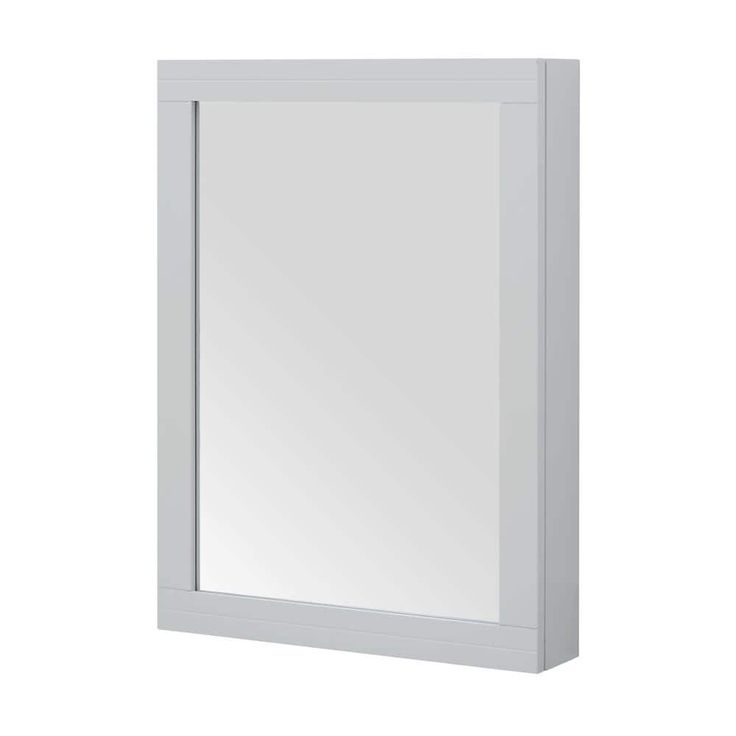 Home Decorators Collection Sturgess 24 in. W x 32 in. H Rectangular Medicine Cabinet with Mirror
