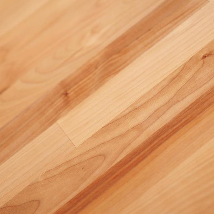 The Baltic Butcher Block 8-ft Natural Straight Butcher Block Birch Kitchen Countertop