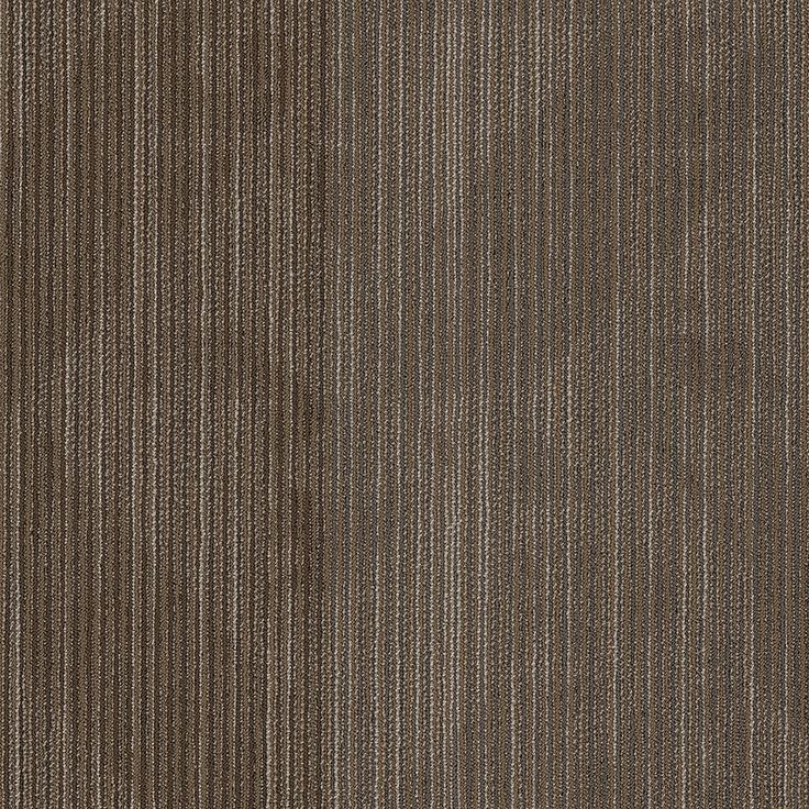 Shaw One Up 24-in x 24-in Newsfeed Multi-level Loop Full Spread Adhesive Carpet Tile (79.99-sq ft)
