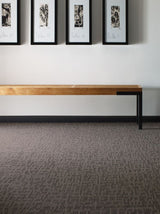 Shaw Whiz Kid 24-in x 24-in Sharp Multi-level Loop Full Spread Adhesive Carpet Tile (48-sq ft)