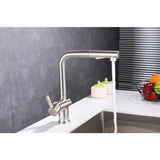 Single-Handle Pull Out Sprayer Kitchen Faucet in Brushed Nickel - Super Arbor
