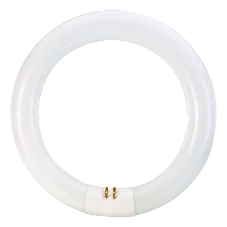 Philips 22-Watt 8 in. Linear T9 Fluorescent Tube Light Bulb Daylight Deluxe (6500K) Circline