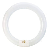 Philips 22-Watt 8 in. Linear T9 Fluorescent Tube Light Bulb Daylight Deluxe (6500K) Circline