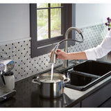 Rubicon Single-Handle Pull-Down Sprayer Kitchen Faucet in Vibrant Stainless - Super Arbor