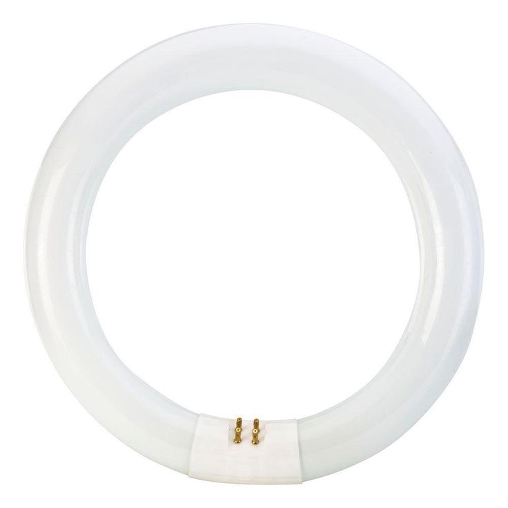 Philips 22-Watt 8 in. Linear T9 Circline Fluorescent Tube Light Bulb Bright White (3000K)