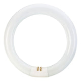 Philips 22-Watt 8 in. Linear T9 Circline Fluorescent Tube Light Bulb Bright White (3000K)