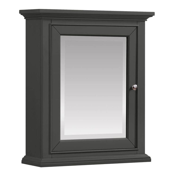Home Decorators Collection Windlowe 24 in. W x 28 in. H Rectangular Medicine Cabinet with Mirror