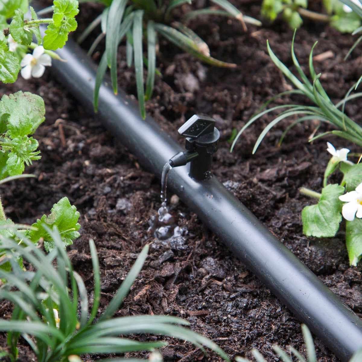 Raindrip Spot Drip Irrigation Dripper - 1 GPH, Take-A-Part Flag Emitter (25-Pack)