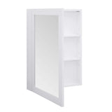 Home Decorators Collection Sturgess 24 in. W x 32 in. H Rectangular Medicine Cabinet with Mirror