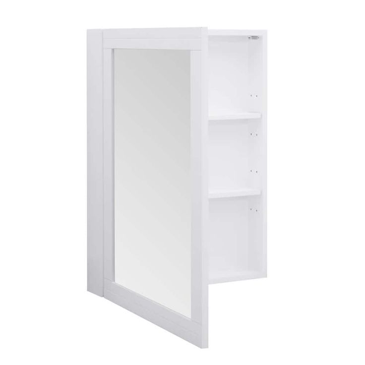 Home Decorators Collection Sturgess 24 in. W x 32 in. H Rectangular Medicine Cabinet with Mirror