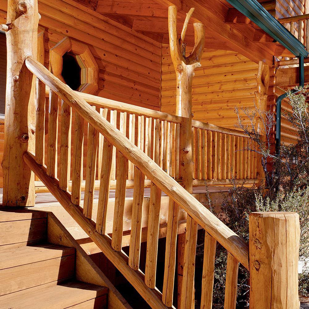 BEHR PREMIUM 1 gal. Clear Gloss Finish Log Home - Super Arbor