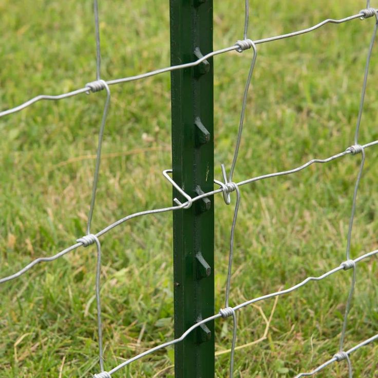 Everbilt Galvanized Steel 12-Gauge T-Post Fence Clips (25 per Bag)