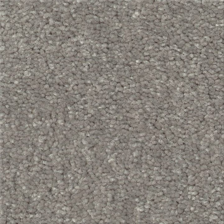 STAINMASTER Essentials Blue Diamonds I 12-ft Taupe Stone Textured Carpet Sample (Interior)