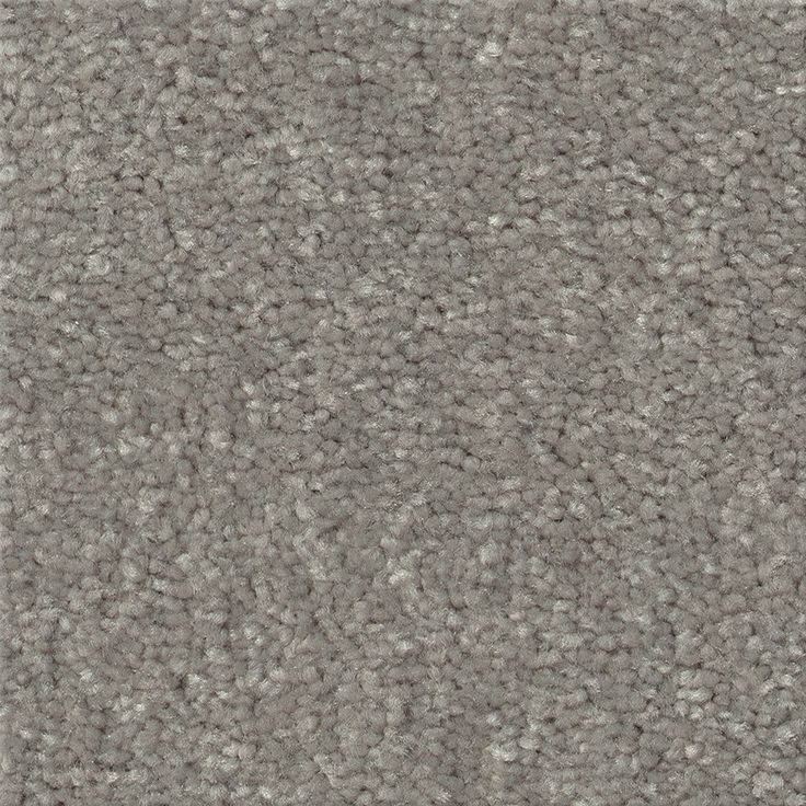 STAINMASTER Essentials Blue Diamonds II 12-ft Taupe Stone Textured Carpet (Indoor)