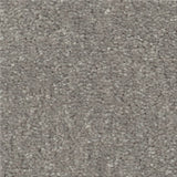 STAINMASTER Essentials Blue Diamonds II 12-ft Taupe Stone Textured Carpet (Indoor)