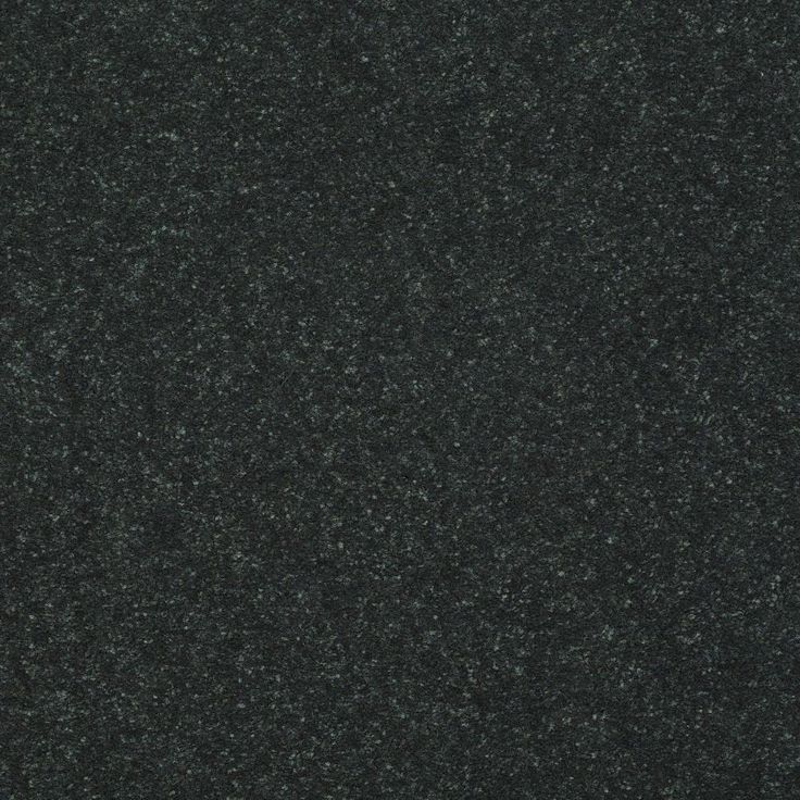 STAINMASTER Essentials Intuition I 12-ft Charcoal Textured Carpet Sample (Interior)