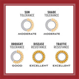 ea25bb1d-4fd5-46be-88ad-961deb79b726_quality=60&_mzcb=_1649148331752_-1540133570