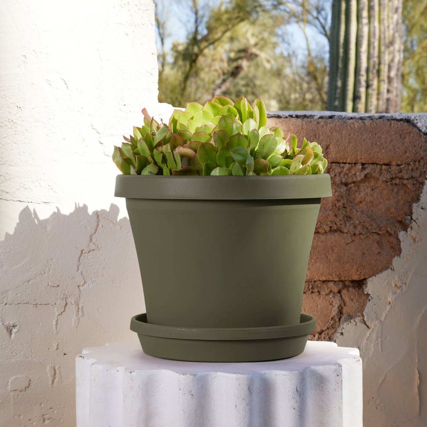 Terra Pot Planter 14" Living Green