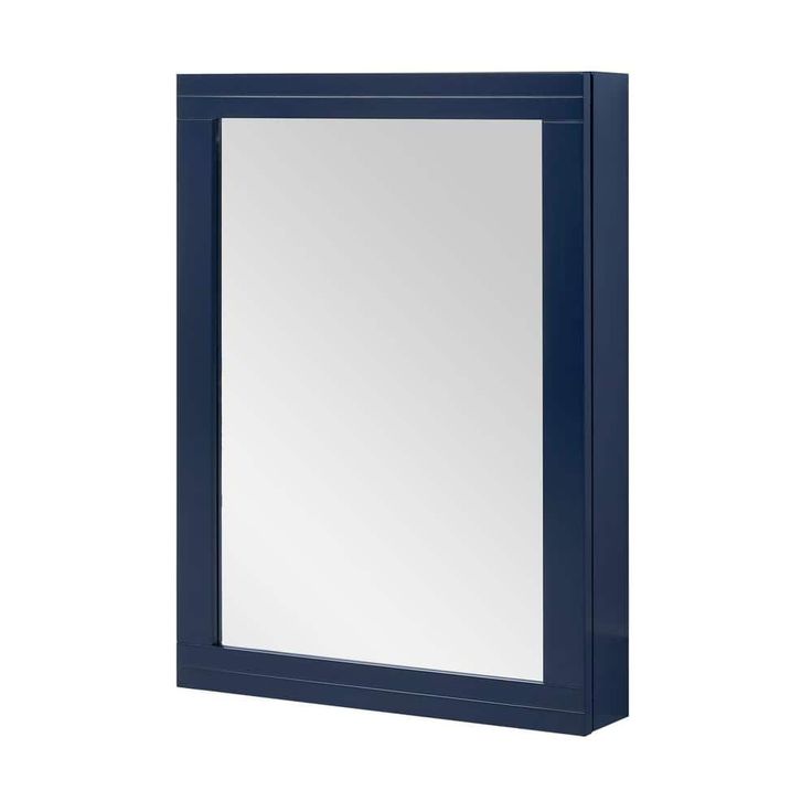 Home Decorators Collection Sturgess 24 in. W x 32 in. H Rectangular Medicine Cabinet with Mirror
