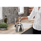 Arsdale Single-Handle Pull-Down Sprayer Kitchen Faucet with Soap/Lotion Dispenser in Vibrant Stainless - Super Arbor