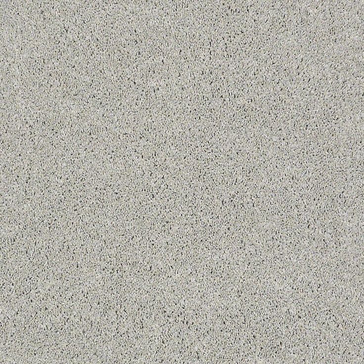 STAINMASTER PetProtect Baxter I Gizmo Textured Carpet (Indoor)
